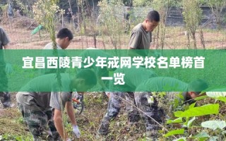 宜昌西陵青少年戒网学校名单榜首一览