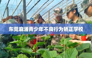 东莞麻涌青少年不良行为矫正学校