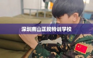 深圳南山正规特训学校