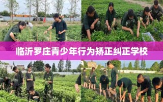 临沂罗庄青少年行为矫正纠正学校