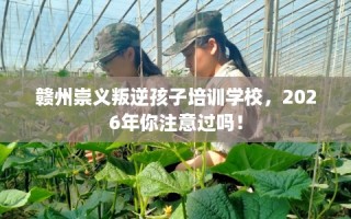 赣州崇义叛逆孩子培训学校，2026年你注意过吗！