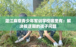 湛江麻章青少年军训学校哪里有：解决叛逆期的孩子问题
