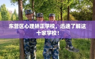 东营区心理矫正学校，迅速了解这十家学校！