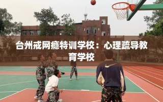 台州戒网瘾特训学校：心理疏导教育学校
