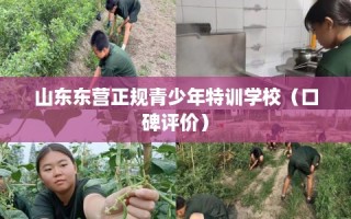 山东东营正规青少年特训学校（口碑评价）
