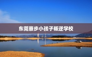 东莞寮步小孩子叛逆学校