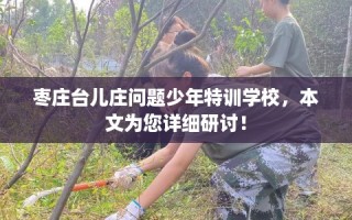 枣庄台儿庄问题少年特训学校，本文为您详细研讨！