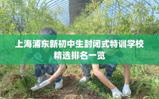 上海浦东新初中生封闭式特训学校精选排名一览