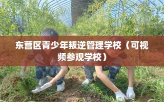 东营区青少年叛逆管理学校（可视频参观学校）