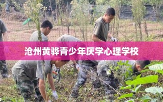 沧州黄骅青少年厌学心理学校