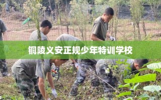 铜陵义安正规少年特训学校
