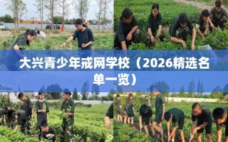 大兴青少年戒网学校（2026精选名单一览）