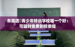 东莞道滘青少年特训学校哪一个好：可随时免费到校参观