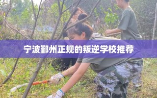 宁波鄞州正规的叛逆学校推荐