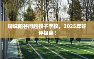 聊城阳谷问题孩子学校，2025年好评极高！