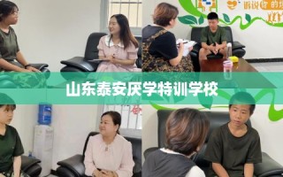 山东泰安厌学特训学校