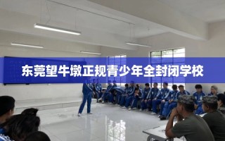 东莞望牛墩正规青少年全封闭学校