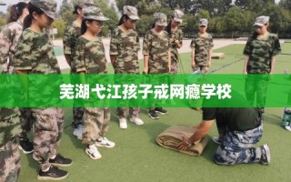 芜湖弋江孩子戒网瘾学校