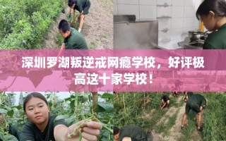 深圳罗湖叛逆戒网瘾学校，好评极高这十家学校！