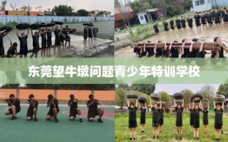 东莞望牛墩问题青少年特训学校