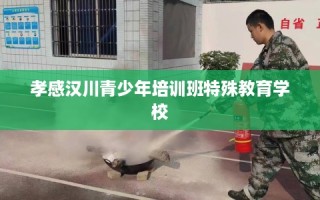 孝感汉川青少年培训班特殊教育学校