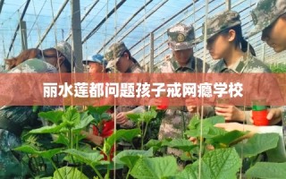 丽水莲都问题孩子戒网瘾学校