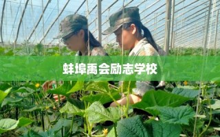 蚌埠禹会励志学校