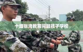 十堰张湾教育问题孩子学校