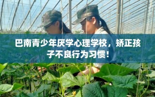 巴南青少年厌学心理学校，矫正孩子不良行为习惯！
