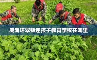 威海环翠叛逆孩子教育学校在哪里