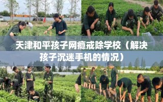 天津和平孩子网瘾戒除学校（解决孩子沉迷手机的情况）