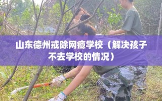 山东德州戒除网瘾学校（解决孩子不去学校的情况）