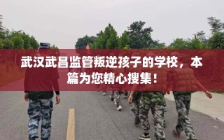 武汉武昌监管叛逆孩子的学校，本篇为您精心搜集！