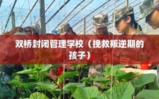 双桥封闭管理学校（挽救叛逆期的孩子）