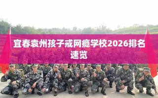 宜春袁州孩子戒网瘾学校2026排名速览