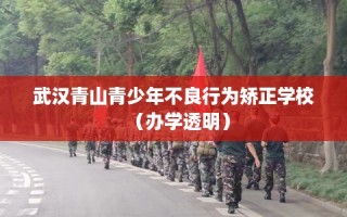 武汉青山青少年不良行为矫正学校（办学透明）