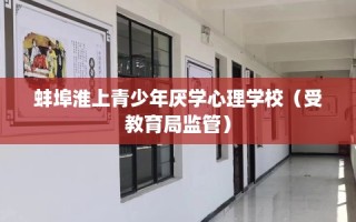 蚌埠淮上青少年厌学心理学校（受教育局监管）