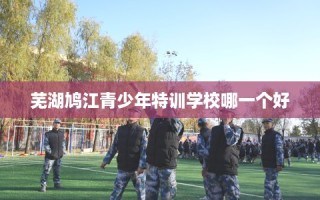 芜湖鸠江青少年特训学校哪一个好