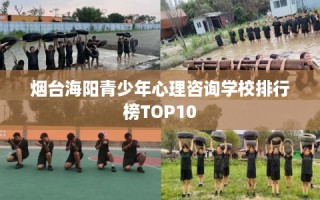 烟台海阳青少年心理咨询学校排行榜TOP10