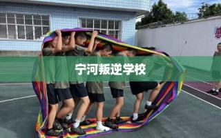 宁河叛逆学校