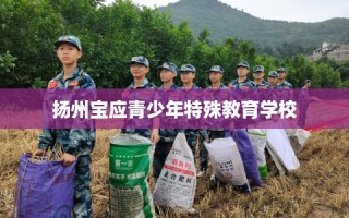 扬州宝应青少年特殊教育学校