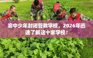 渝中少年封闭管教学校，2026年迅速了解这十家学校！