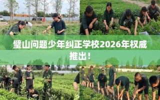 璧山问题少年纠正学校2026年权威推出！