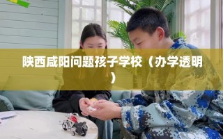 陕西咸阳问题孩子学校（办学透明）