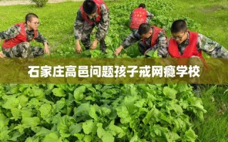 石家庄高邑问题孩子戒网瘾学校