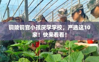 铜陵铜官小孩厌学学校，严选这10家！快来看看！