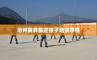 沧州黄骅叛逆孩子培训学校