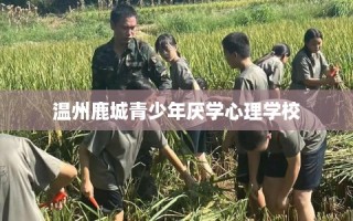 温州鹿城青少年厌学心理学校