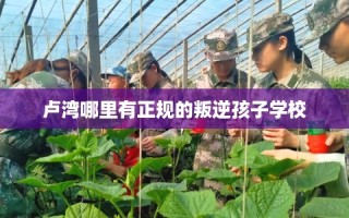 卢湾哪里有正规的叛逆孩子学校