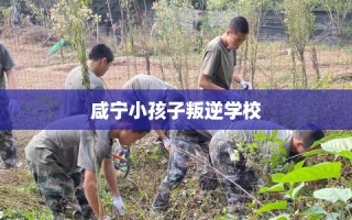 咸宁小孩子叛逆学校